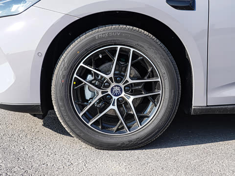 2026�� DM-i 170KM��Խ��