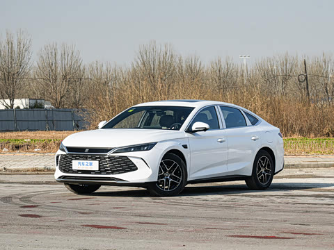 2026�� DM-i 170KM��Խ��