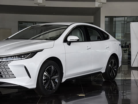 2025�� DM-i 120KM ���а�