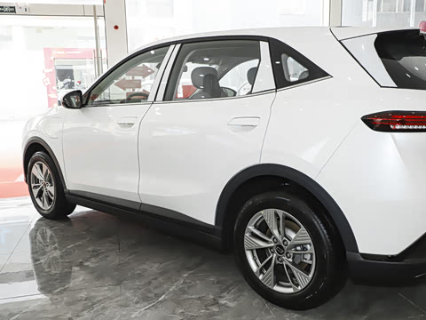 2025�� 565km �����