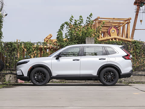 2026�� ȫ��30����ҫ�� �춯 2.0L �������а�