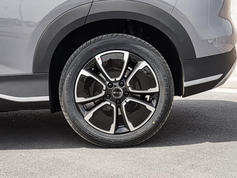 2026�� DM-i 305�캽��