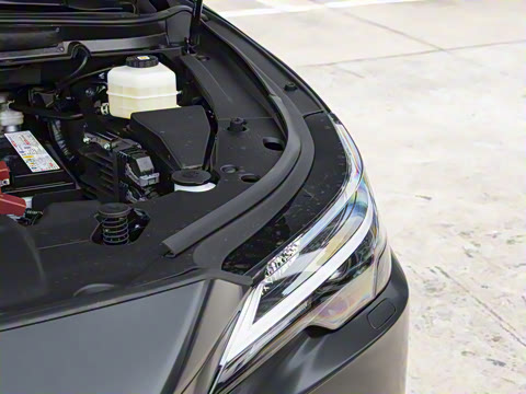 2026�� 300 ����Black Edition