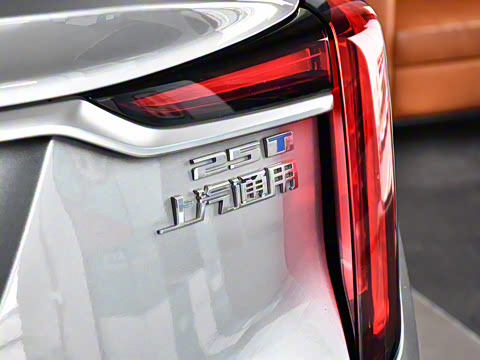 2023�� 25T ������