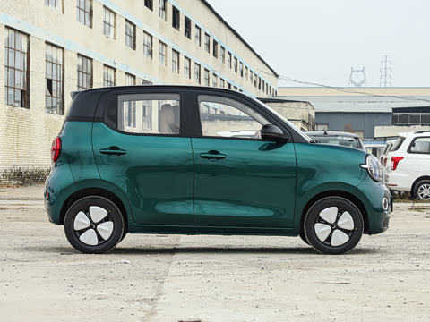 2026�� 301km ������