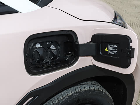 2025�� �Ǽݰ� 305km ������