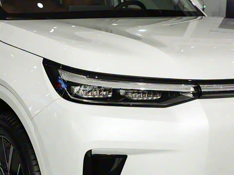 2025�� Ǭ�� Max 6��