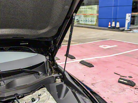 2025�� ������