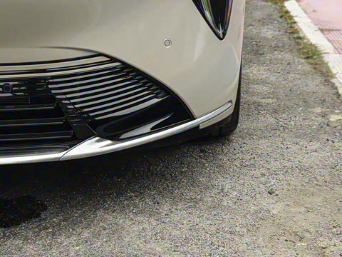 2025�� ������