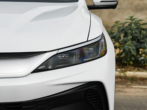 2026�� �ɳ۰� DM-i 220KM������