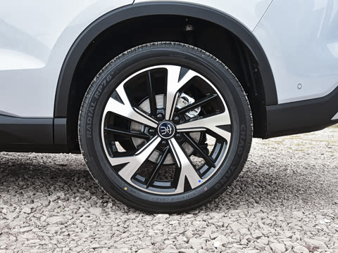 2026�� DM-i 220KM��Խ��