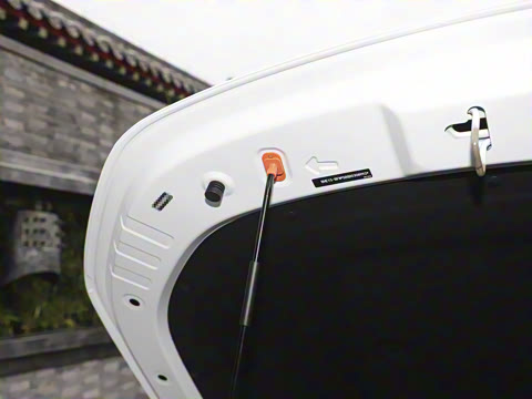 2026�� 125km̽��+��