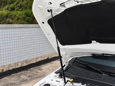 2025�� �Ŀ� A 200 L ʱ����