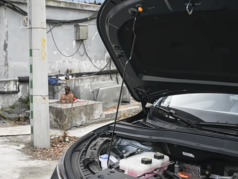 2025�� 565km ������