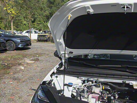 2026�� 650�Ǻ���