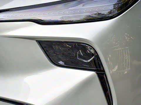 2025�� 565km ������