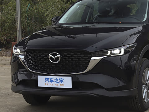 2025�� 2.0L �Զ�����������