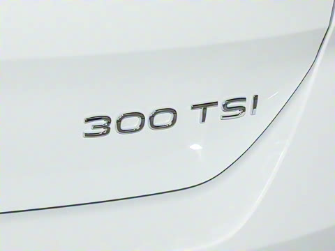 2026�� 300TSI DSG���������