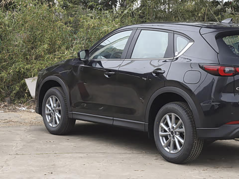 2025�� 2.0L �Զ�����������