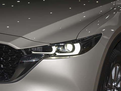 2025�� 2.0L �Զ�����������