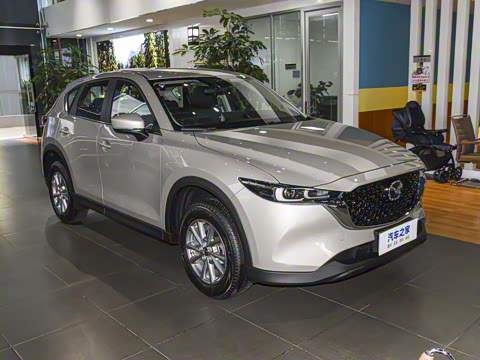 2025�� 2.0L �Զ�����������