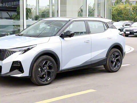 2026�� Ӱ�� 270T ������