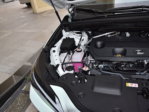 2026�� 350h ��ɫ�޶���