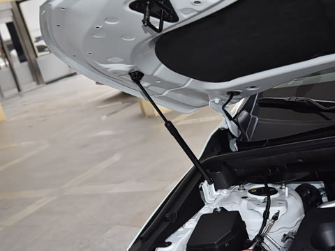 2026�� 350h ��ɫ�޶���