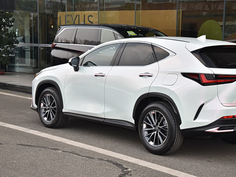 2026�� 350h ��ɫ�޶���