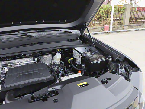 2026 211km XWD ΪǬǼ