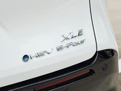 2026�� 2.5L ˫������������