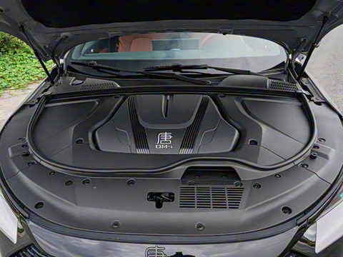 2025�� �Ǽݰ� DM-i 175KM ������