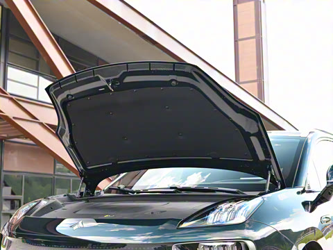 2025�� �Ŀ� 350 Max���������״��