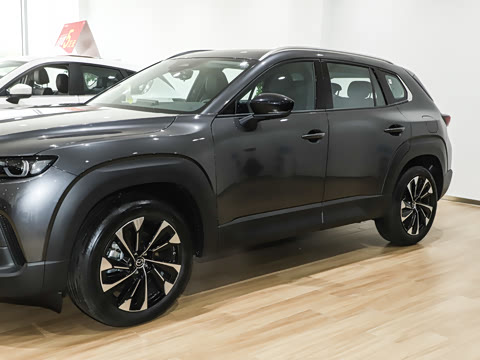 2026�� 2.5L ���а�