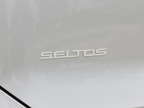 2027�� 1.5L ������