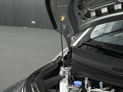 2026�� �����״��