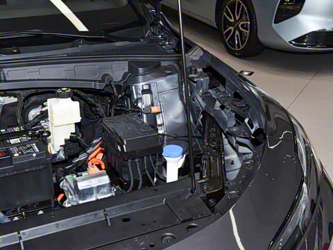 2025�� 520km ������