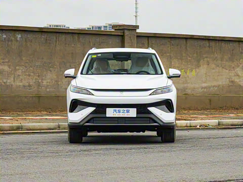 2026�� DM-i 133KM��Խ��