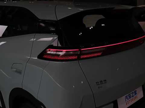 2026�� 305km ������
