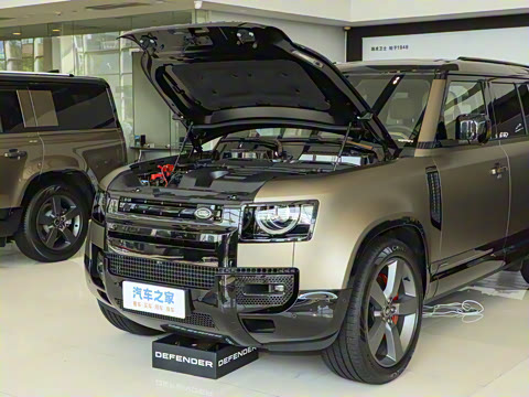 2025�� 110 3.0T P400 X