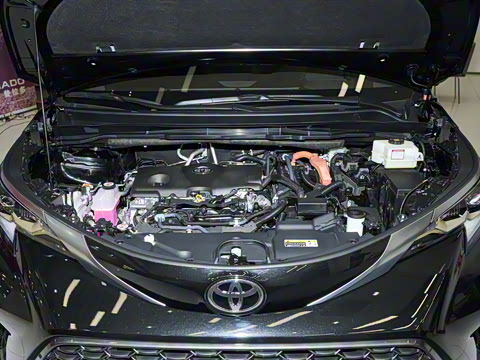 2026�� 2.5L�춯 ���PLUS������