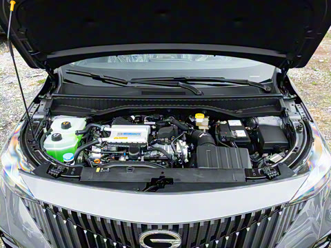 2026�� Ӱ�� 270T ��ȡ��