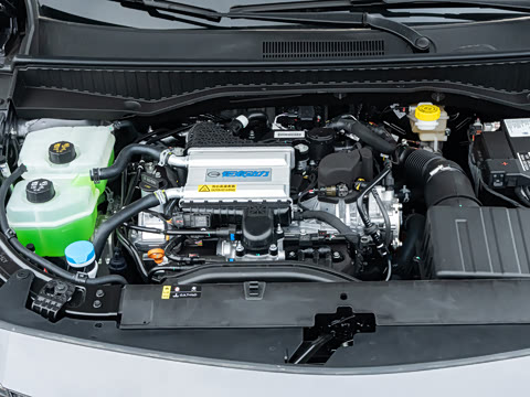 2026�� Ӱ�� 270T ��ȡ��