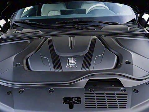 2025�� �Ǽݰ� DM-i 175KM �����