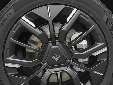 2025�� 825 Pro��