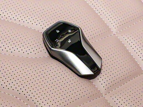 2025�� 710 Max��