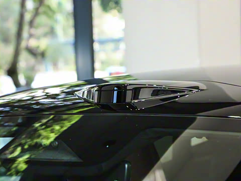 2026��   95������ Max��