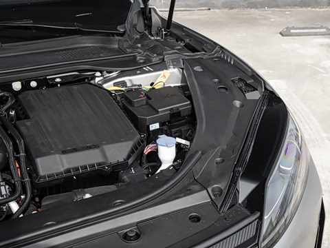 2025�� 260���������