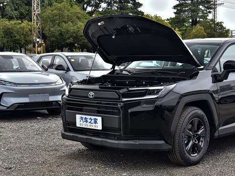 2026�� ˫�� 2.0L ������Ӣ��