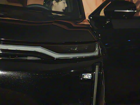 2025�� 205km Pro+�����״��